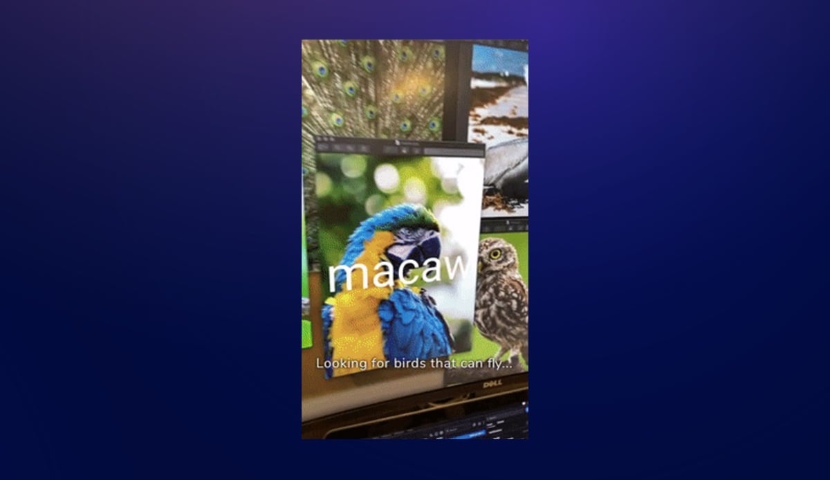Endless image targets